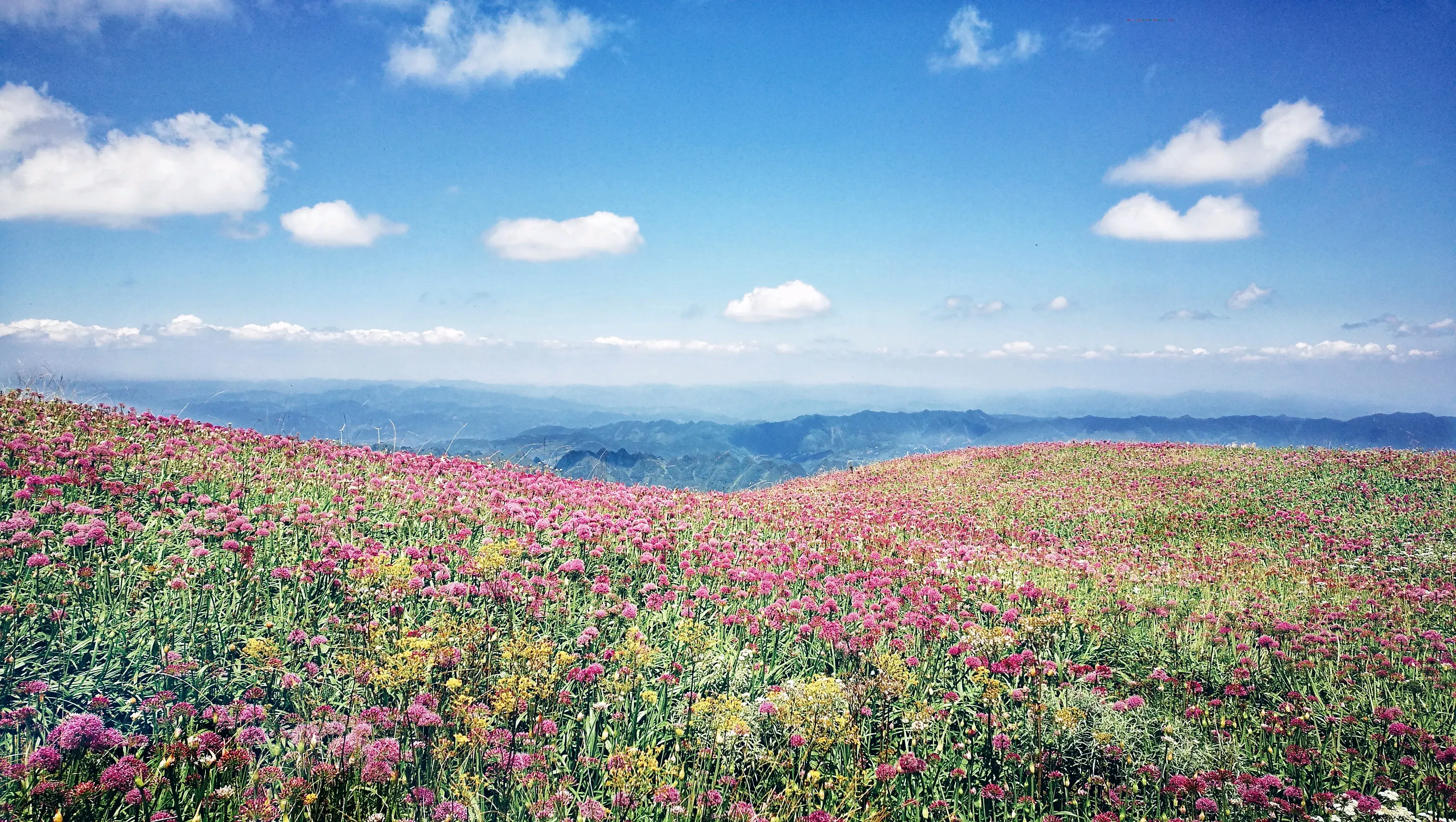 六盘水旅游景区有哪些（贵州六盘水最美五大景区）