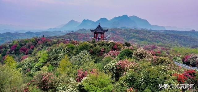 贵州大方县旅游景点（贵州省旅游景点—毕节市十大旅游景点）